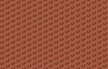 Altıgen desenli modern renkli arkaplan