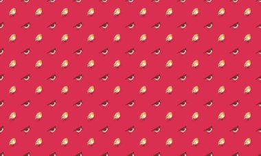 Farklı aksesuarlara sahip renkli arkaplan