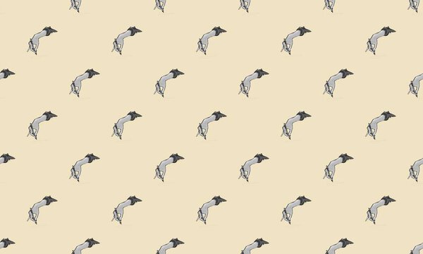 Цветной фон с различными аксессуарами