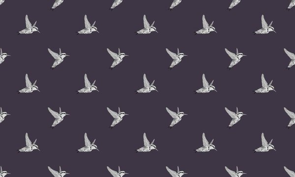 Цветной фон с различными аксессуарами