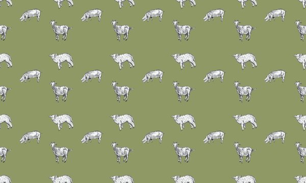 Colored background with different accessories