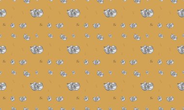 Farklı aksesuarlara sahip renkli arkaplan