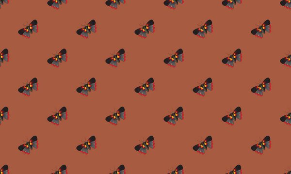 Цветной фон с различными аксессуарами