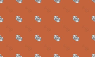 Farklı aksesuarlara sahip renkli arkaplan