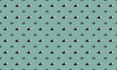 Farklı aksesuarlara sahip renkli arkaplan