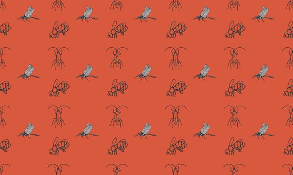 Цветной фон с различными аксессуарами