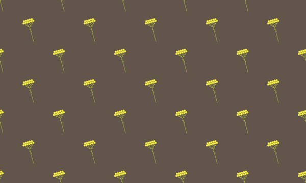 Colored background with different accessories