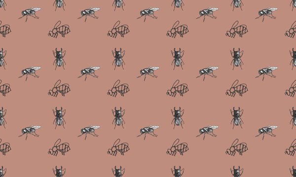 Colored background with different accessories