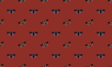 Farklı aksesuarlara sahip renkli arkaplan