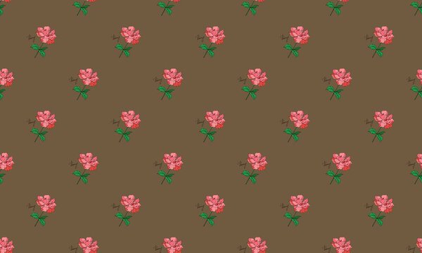 Colored background with different accessories