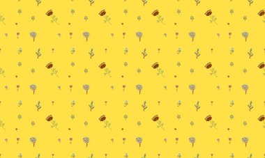 Farklı aksesuarlara sahip renkli arkaplan