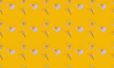 Farklı aksesuarlara sahip renkli arkaplan