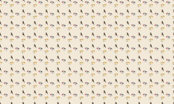 Colored background with different accessories