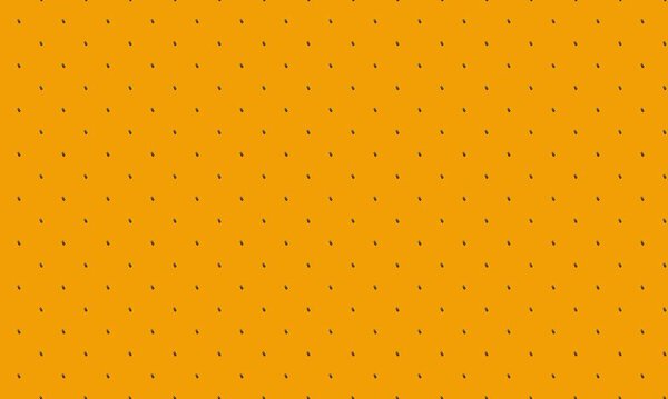 Colored background with different accessories