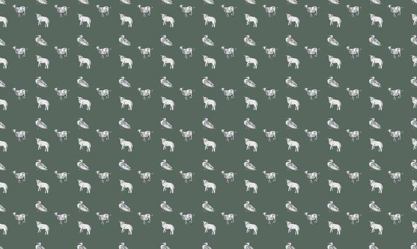 Colored background with different accessories