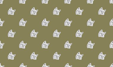 Farklı aksesuarlara sahip renkli arkaplan