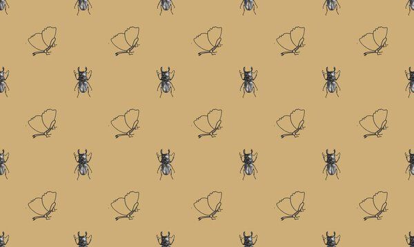 Цветной фон с различными аксессуарами