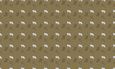 Farklı aksesuarlara sahip renkli arkaplan