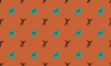 Farklı aksesuarlara sahip renkli arkaplan