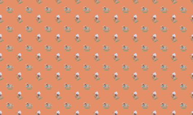 Farklı aksesuarlara sahip renkli arkaplan