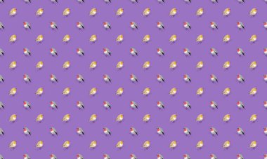 Farklı aksesuarlara sahip renkli arkaplan