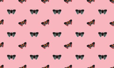 Farklı aksesuarlara sahip renkli arkaplan