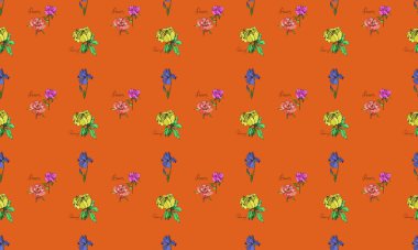 Farklı aksesuarlara sahip renkli arkaplan