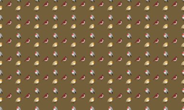 Farklı aksesuarlara sahip renkli arkaplan