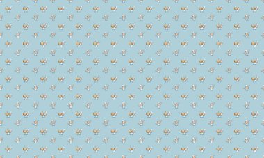 Farklı aksesuarlara sahip renkli arkaplan