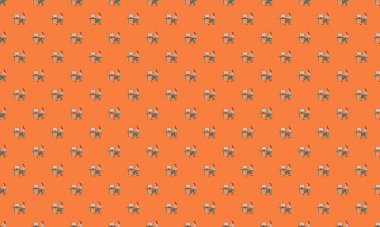 Farklı aksesuarlara sahip renkli arkaplan