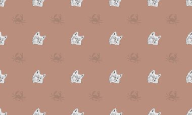 Farklı aksesuarlara sahip renkli arkaplan