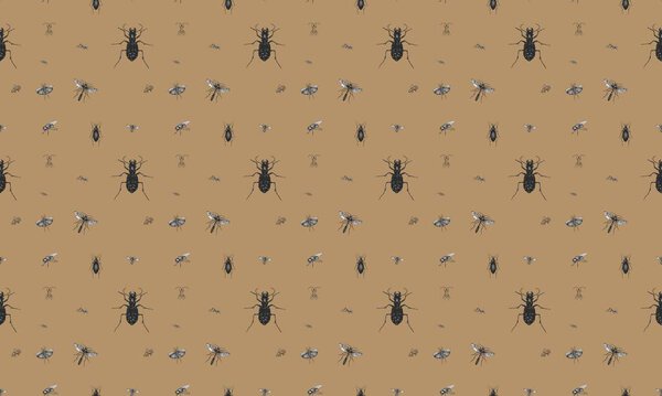 Цветной фон с различными аксессуарами