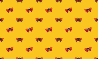 Farklı aksesuarlara sahip renkli arkaplan