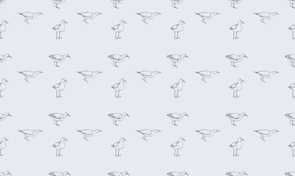 Цветной фон с различными аксессуарами