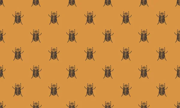 鹿头骨图库矢量图片 免版税鹿头骨插图 Depositphotos