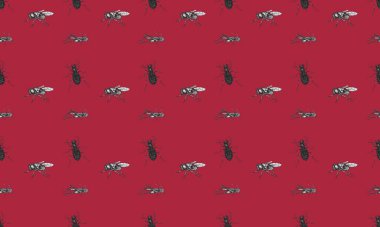 Farklı aksesuarlara sahip renkli arkaplan