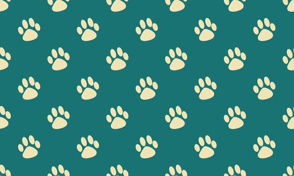 Colored background with different accessories