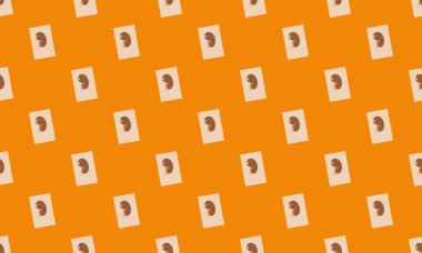 Farklı aksesuarlara sahip renkli arkaplan