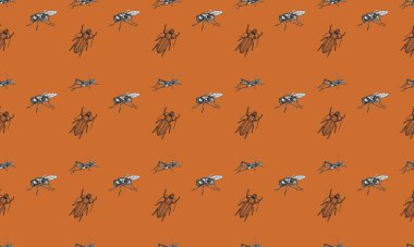 Farklı aksesuarlara sahip renkli arkaplan