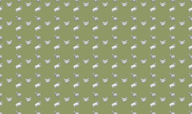 Farklı aksesuarlara sahip renkli arkaplan