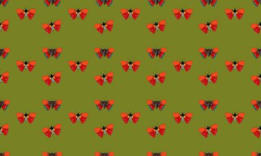 Farklı aksesuarlara sahip renkli arkaplan