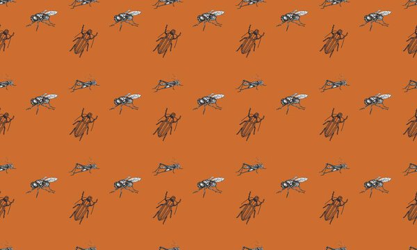 Colored background with different accessories