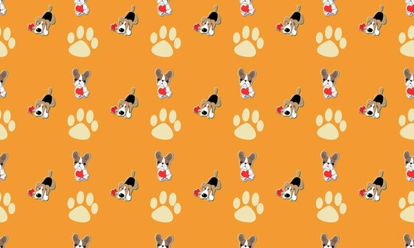 Цветной фон с различными аксессуарами