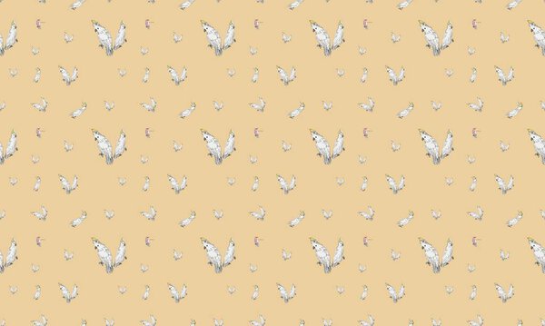 Цветной фон с различными аксессуарами