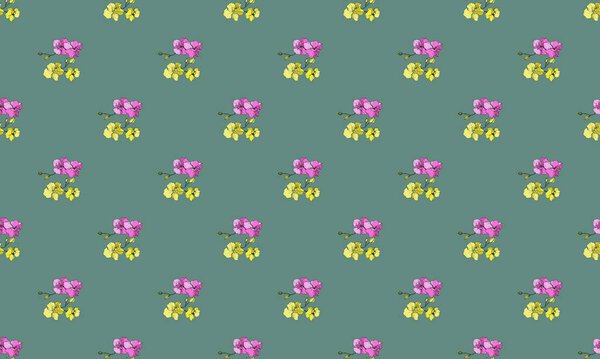 Colored background with different accessories