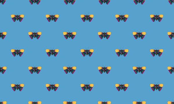 Цветной фон с различными аксессуарами