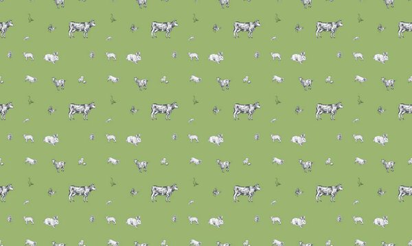 Colored background with different accessories