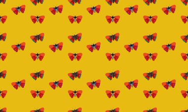 Farklı aksesuarlara sahip renkli arkaplan