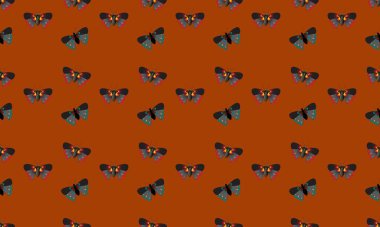 Farklı aksesuarlara sahip renkli arkaplan