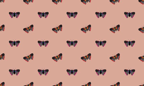 Цветной фон с различными аксессуарами